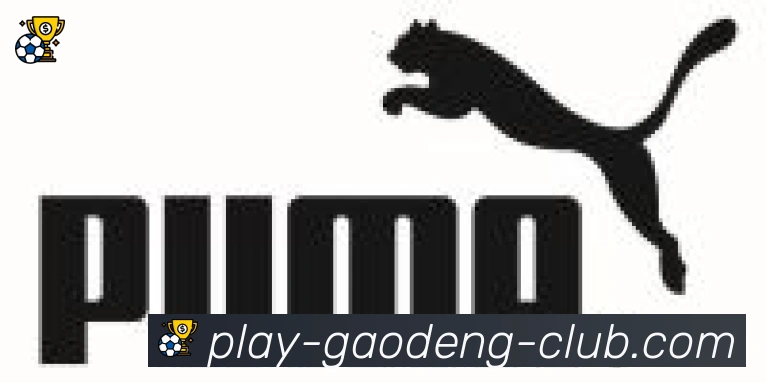 高登棋牌官网合作伙伴